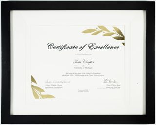 Framed Certificate of Excellence, 2006-2008