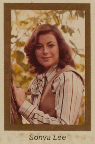 Phi Chapter Composite Detail, Sonya Lee,1977-1978