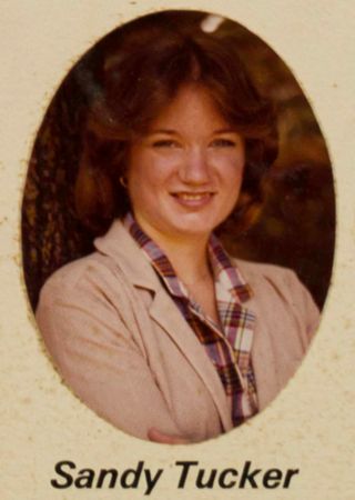 Phi Chapter Composite Detail, Sandy Tucker, 1980-1981