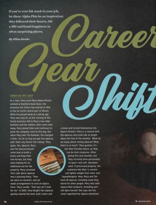 Career Gear Shift
