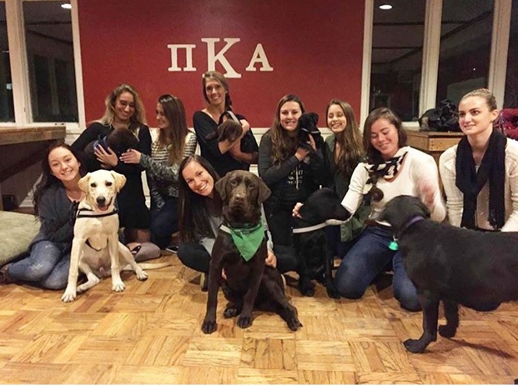 Nine Unidentified Women With Dogs At A Pike Event Photograph