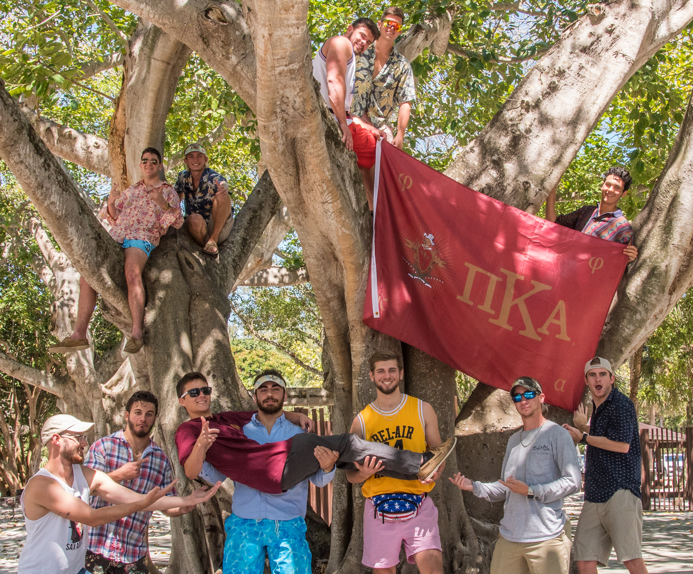Twelve Lambda Beta Chapter Members in Tree Photograph