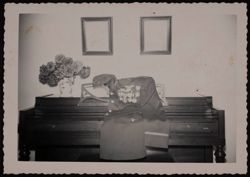 Pike_GoldStar_Box 3_F13_005.jpg