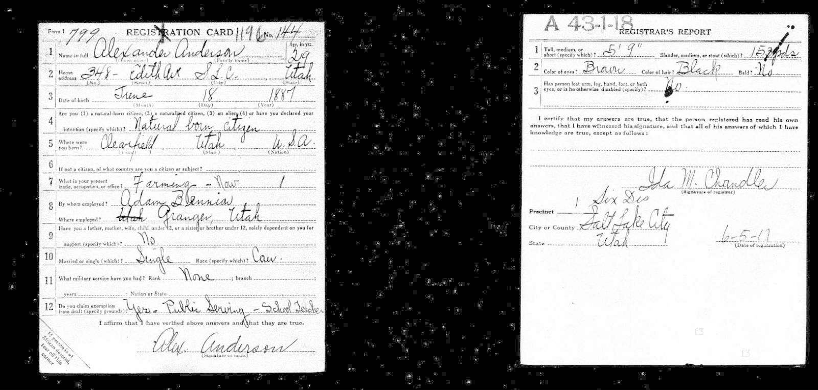 Alexander Anderson Draft Registration Card