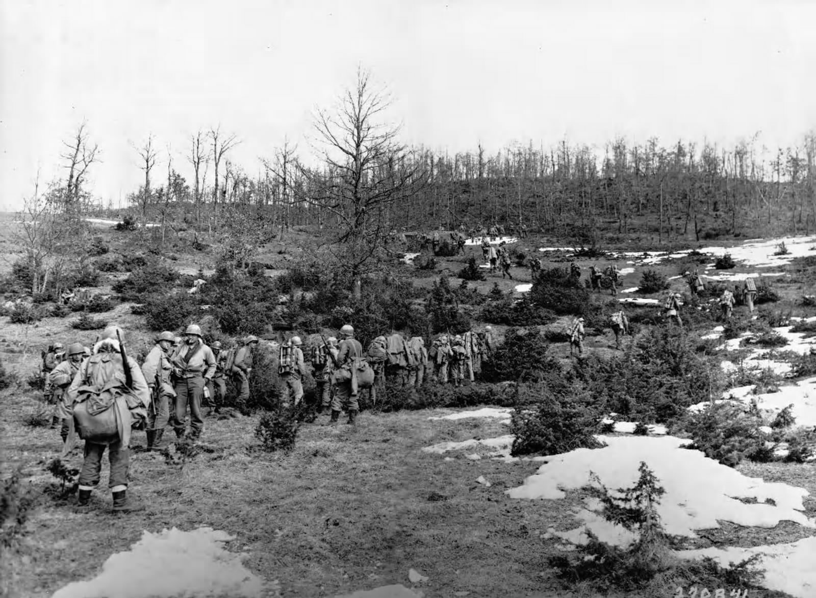 The 85th and the 87th Mountain Infantries were involved in the battle for the high ground at Mt. Belvedere, Italy, Feb. 19-25, 1945.