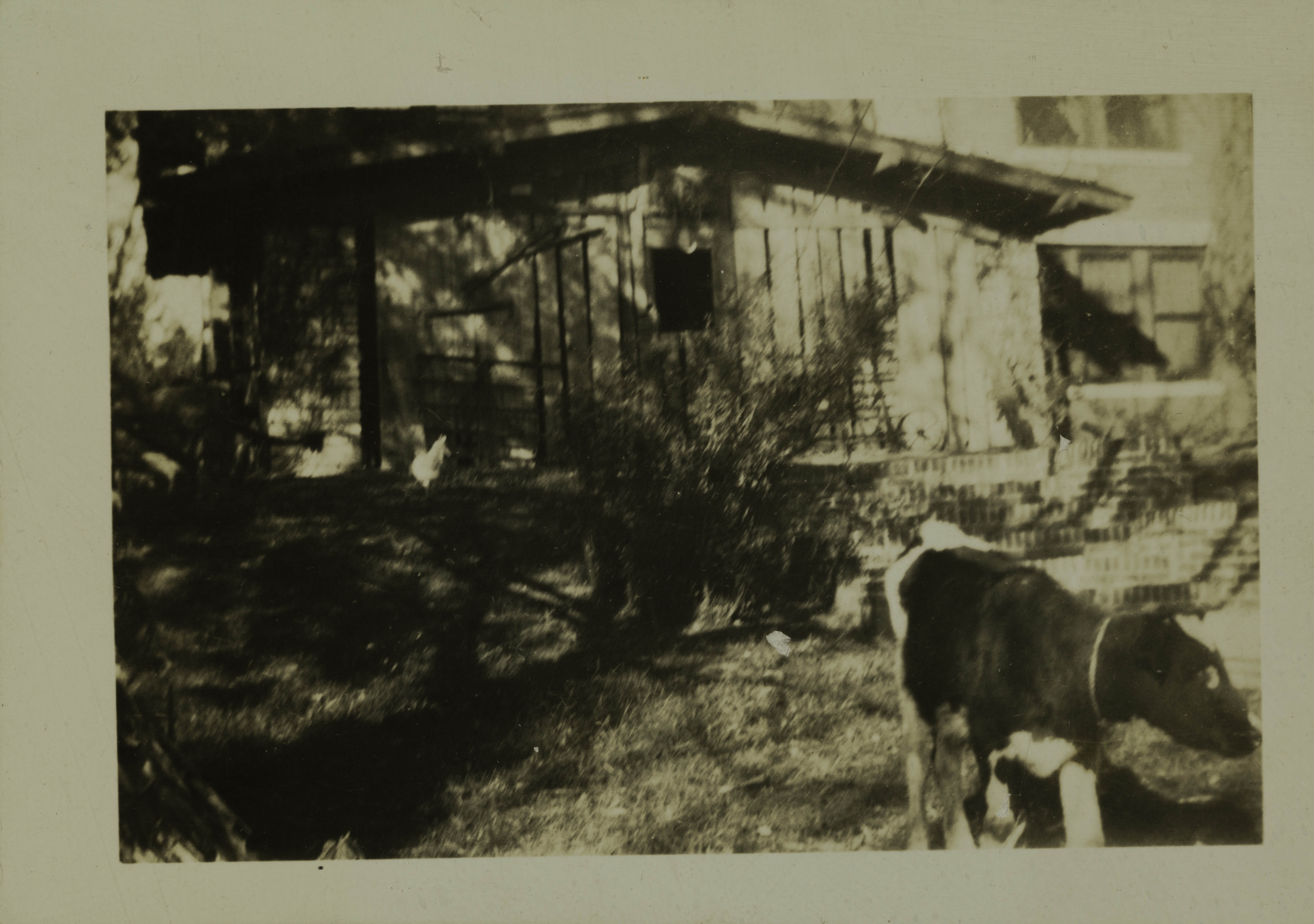 Alpha Omega Chapter House With Barnyard Decorations Photograph, 1934