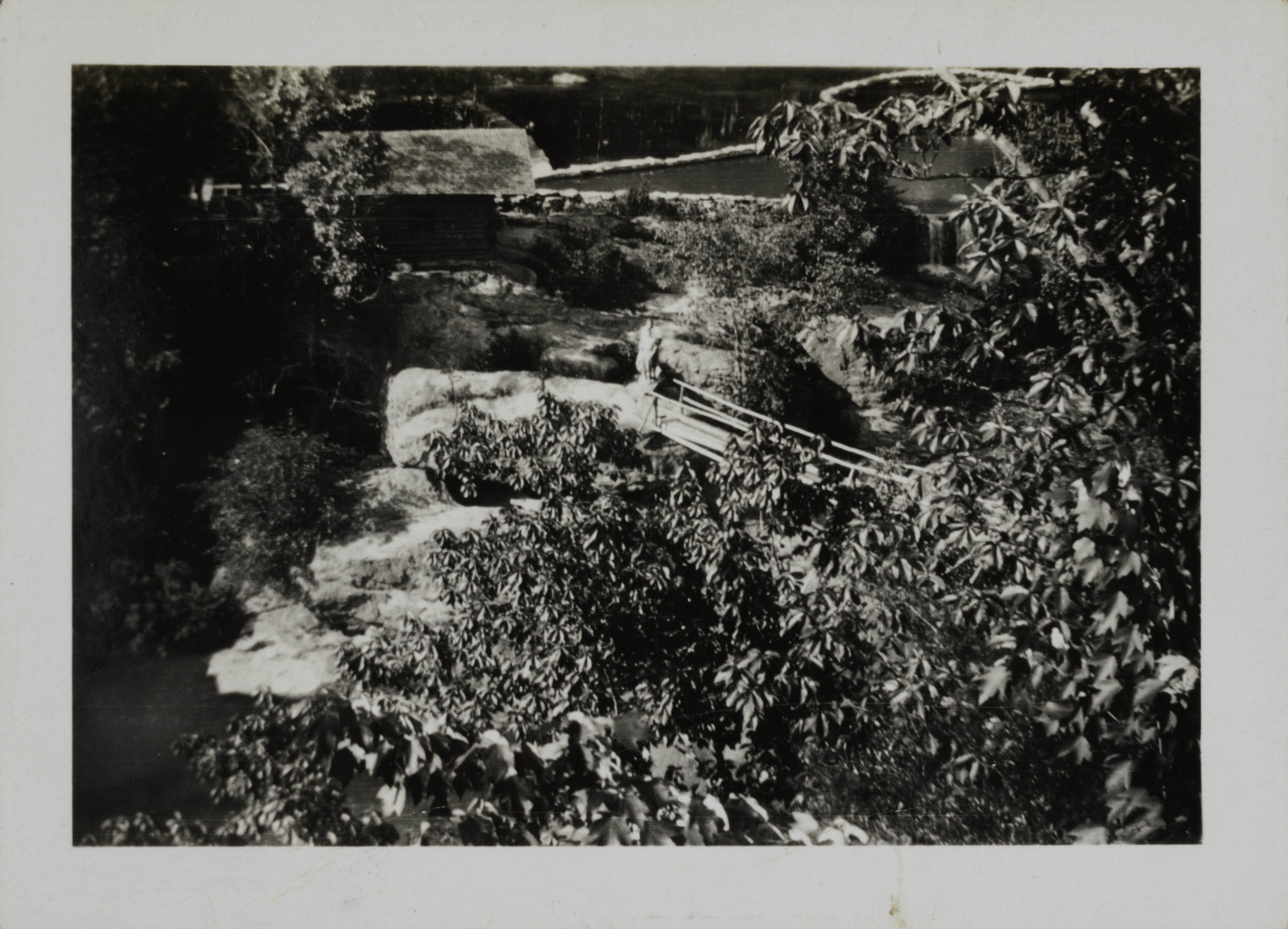 View of Stream From Alpha Pi Chapter Lodge Photograph