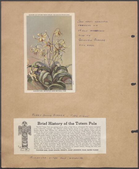 Marion Phillips Convention Scrapbook, Page 6 (Image)