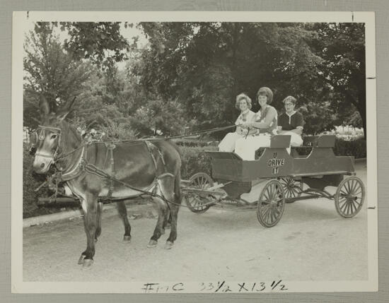 Three Phi Mus Drive a Surrey Photograph, July 5-10, 1970 (image)