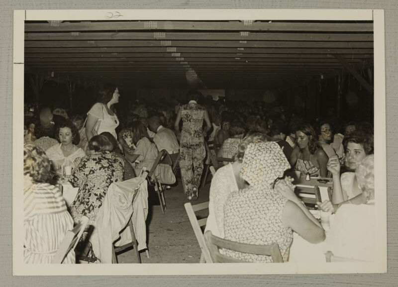 June 25-30 Picnic Supper at Middleton Gardens Photograph Image
