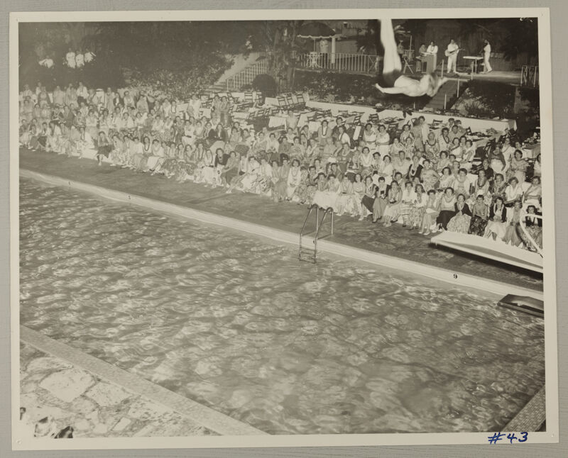 Man Diving Into Water at Convention Pool Show Photograph 2, July 11-16, 1954 (Image)