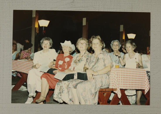 Past National Presidents at Convention Picnic Photograph, July 6-10, 1986 (image)