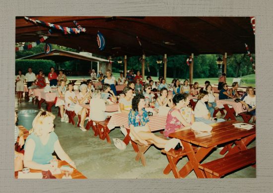 Phi Mus at Convention Picnic Photograph 1, July 6-10, 1986 (image)