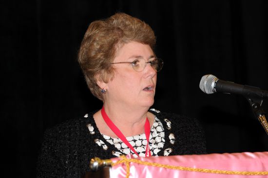 Convention Photograph 54, June 27, 2008 (image)