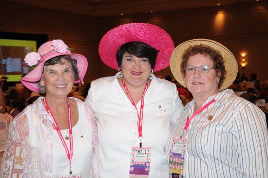 Convention Photograph 10, June 28, 2008 (image)