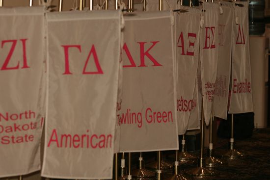 Line of Chapter Flags at Convention Photograph 2, July 2006 (image)