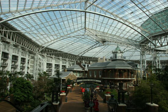 Delta Island at Gaylord Opryland Resort Photograph 3, July 2006 (image)