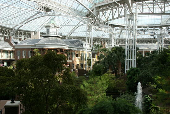 Delta Island at Gaylord Opryland Resort Photograph 1, July 2006 (image)