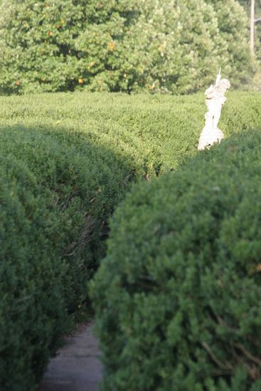 Two Rivers Mansion Garden Statue Photograph 2, July 2006 (image)