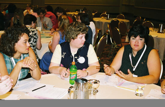 Three Phi Mus in Convention Discussion Group Photograph 15, July 4-8, 2002 (image)