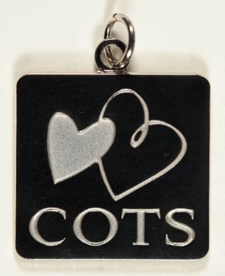 COTS Charm, 2011
