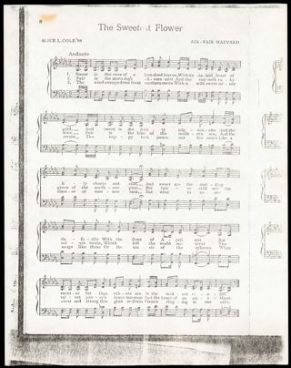 The Sweetest Flower Sheet Music 1