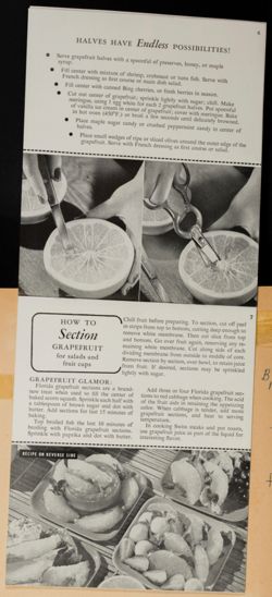 SK_HQ_Box 4_Scrapbook 15_021_01_04.jpg