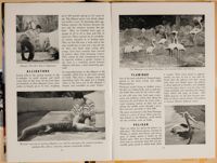 SK_HQ_Box 4_Scrapbook 15_025_13.jpg