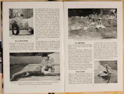 SK_HQ_Box 4_Scrapbook 15_025_13.jpg