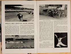 SK_HQ_Box 4_Scrapbook 15_025_16.jpg