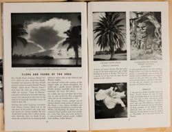 SK_HQ_Box 4_Scrapbook 15_025_44.jpg