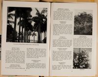 SK_HQ_Box 4_Scrapbook 15_025_45.jpg