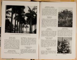 SK_HQ_Box 4_Scrapbook 15_025_45.jpg