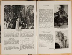 SK_HQ_Box 4_Scrapbook 15_025_46.jpg