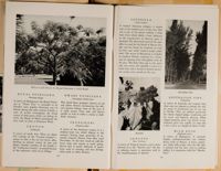 SK_HQ_Box 4_Scrapbook 15_025_47.jpg