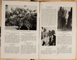 SK_HQ_Box 4_Scrapbook 15_025_47.jpg