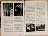 SK_HQ_Box 4_Scrapbook 15_025_48.jpg