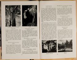 SK_HQ_Box 4_Scrapbook 15_025_48.jpg