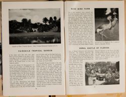 SK_HQ_Box 4_Scrapbook 15_025_49.jpg