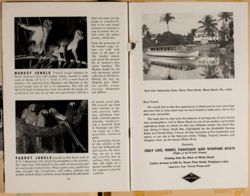 SK_HQ_Box 4_Scrapbook 15_025_50.jpg