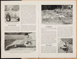 SK_HQ_Box 5_Scrapbook 16_011_13.jpg