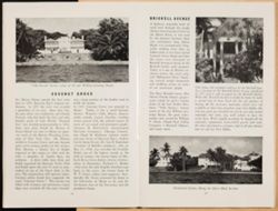 SK_HQ_Box 5_Scrapbook 16_011_20.jpg