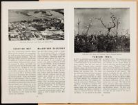 SK_HQ_Box 5_Scrapbook 16_011_21.jpg