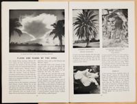 SK_HQ_Box 5_Scrapbook 16_011_44.jpg