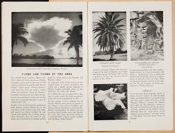 SK_HQ_Box 5_Scrapbook 16_011_44.jpg