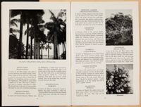 SK_HQ_Box 5_Scrapbook 16_011_45.jpg