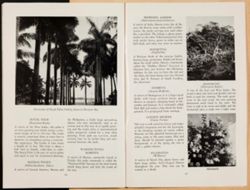 SK_HQ_Box 5_Scrapbook 16_011_45.jpg