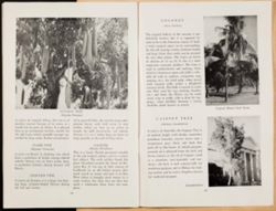 SK_HQ_Box 5_Scrapbook 16_011_46.jpg