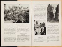 SK_HQ_Box 5_Scrapbook 16_011_47.jpg