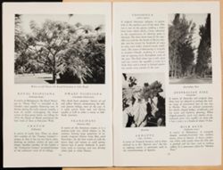 SK_HQ_Box 5_Scrapbook 16_011_47.jpg